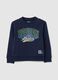 Regular fit pure cotton blue children's sweatshirt_0