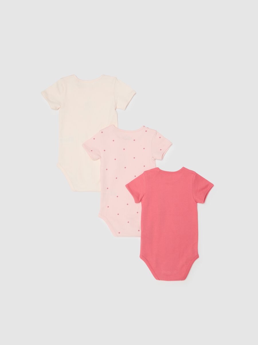 Newborn girl's multicoloured pure cotton bodysuit tripack_1