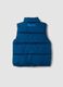 Blue padded gilet with zip and high neck, regular fit_1