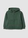 Green organic cotton hoodie in a relaxed fit_0