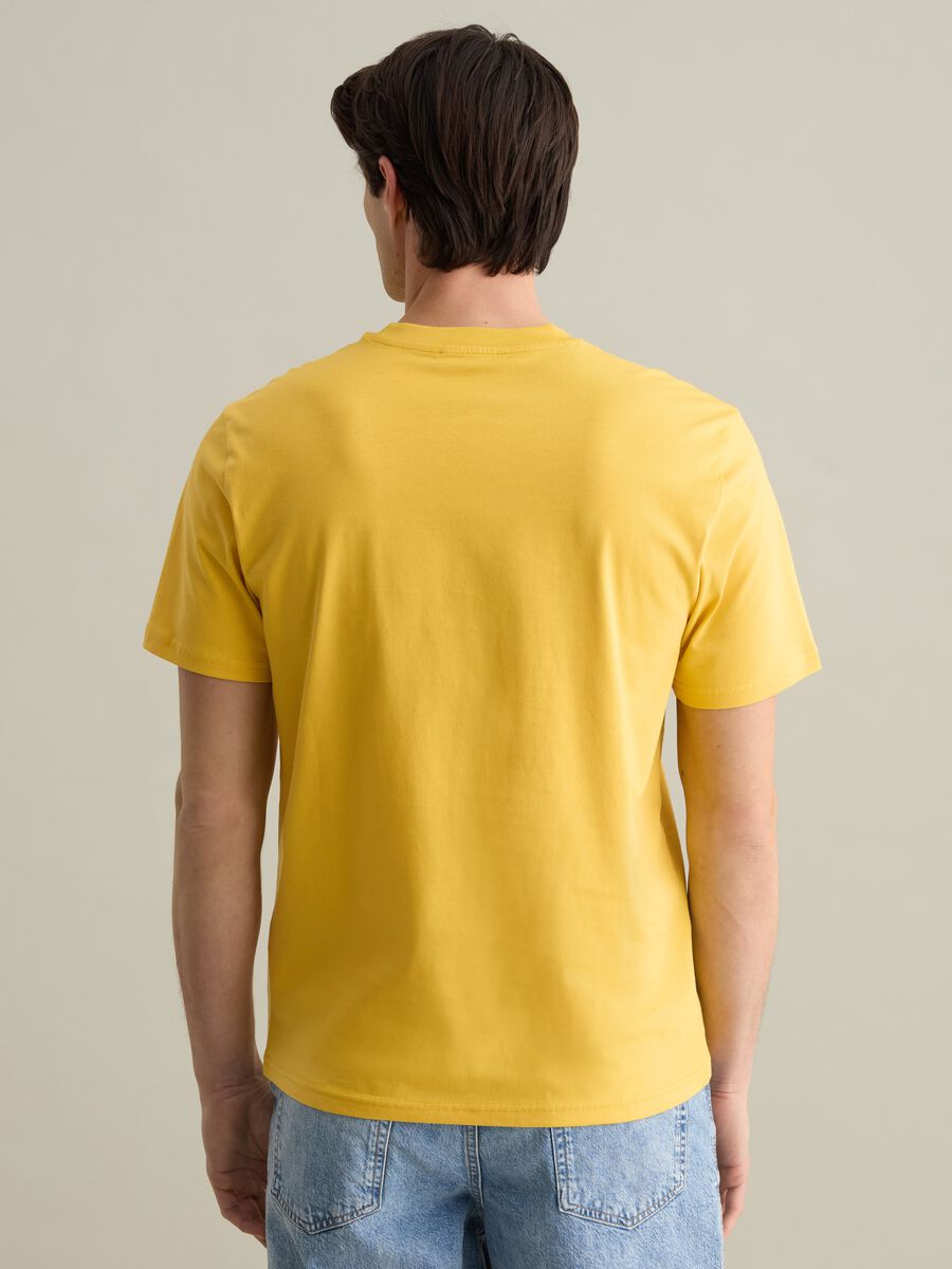 Plain cotton T-shirt with round neck._2