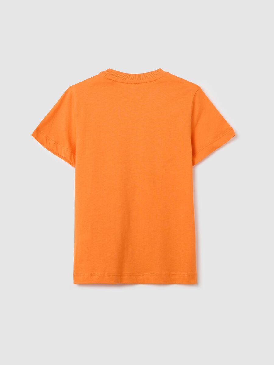 T-shirt in cotone con scollo rotondo_1