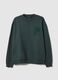 Green Pure Cotton Jumper Regular Fit_4