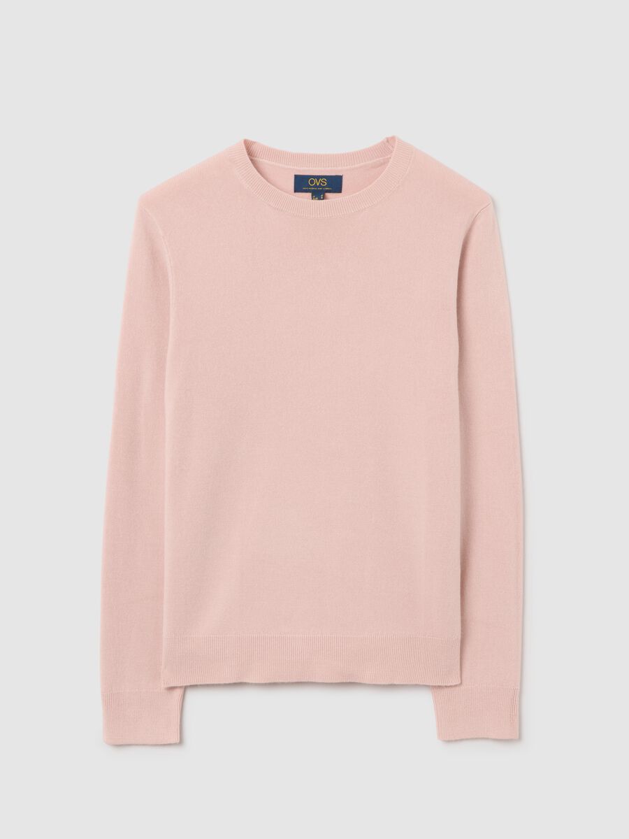 Pink Crew Neck Sweater Regular Fit_4