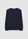Boys' blue pure cotton jumper, regular fit with round neck_4