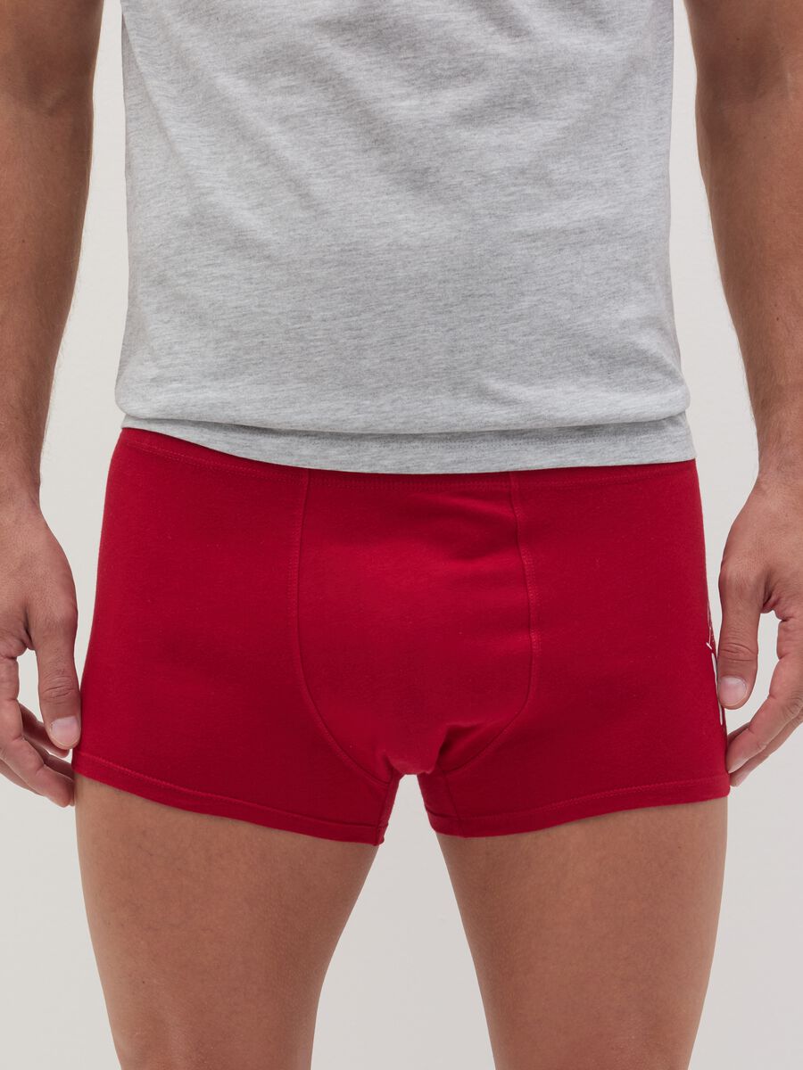Boxer shorts with Christmas print_1