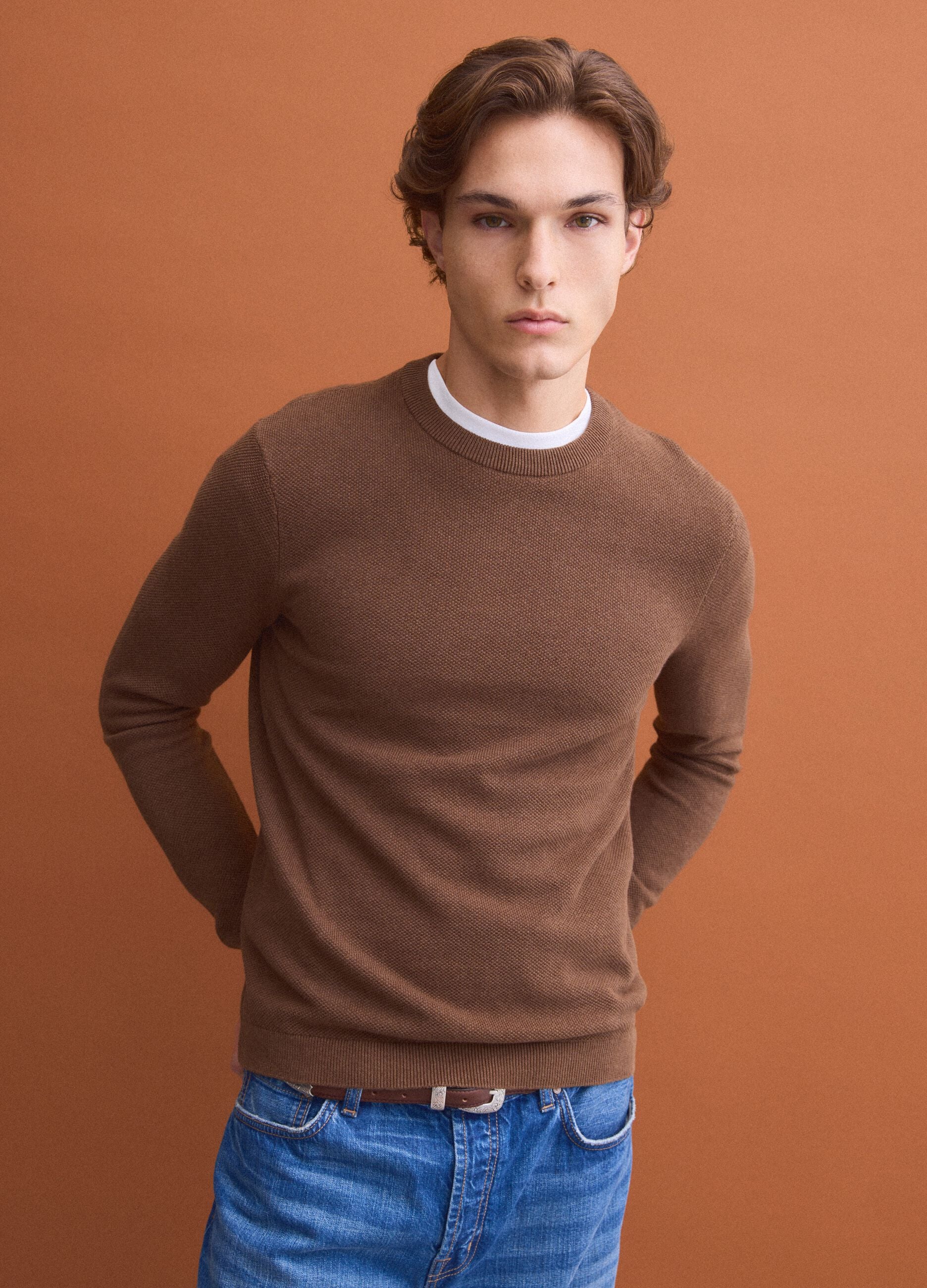 Brown pure cotton crew-neck jumper, regular fit