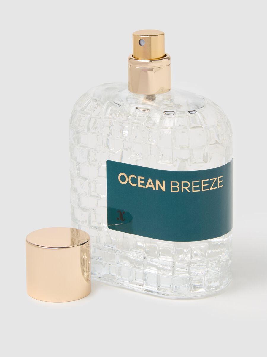 Ocean Breeze - a woody and marine extract_1