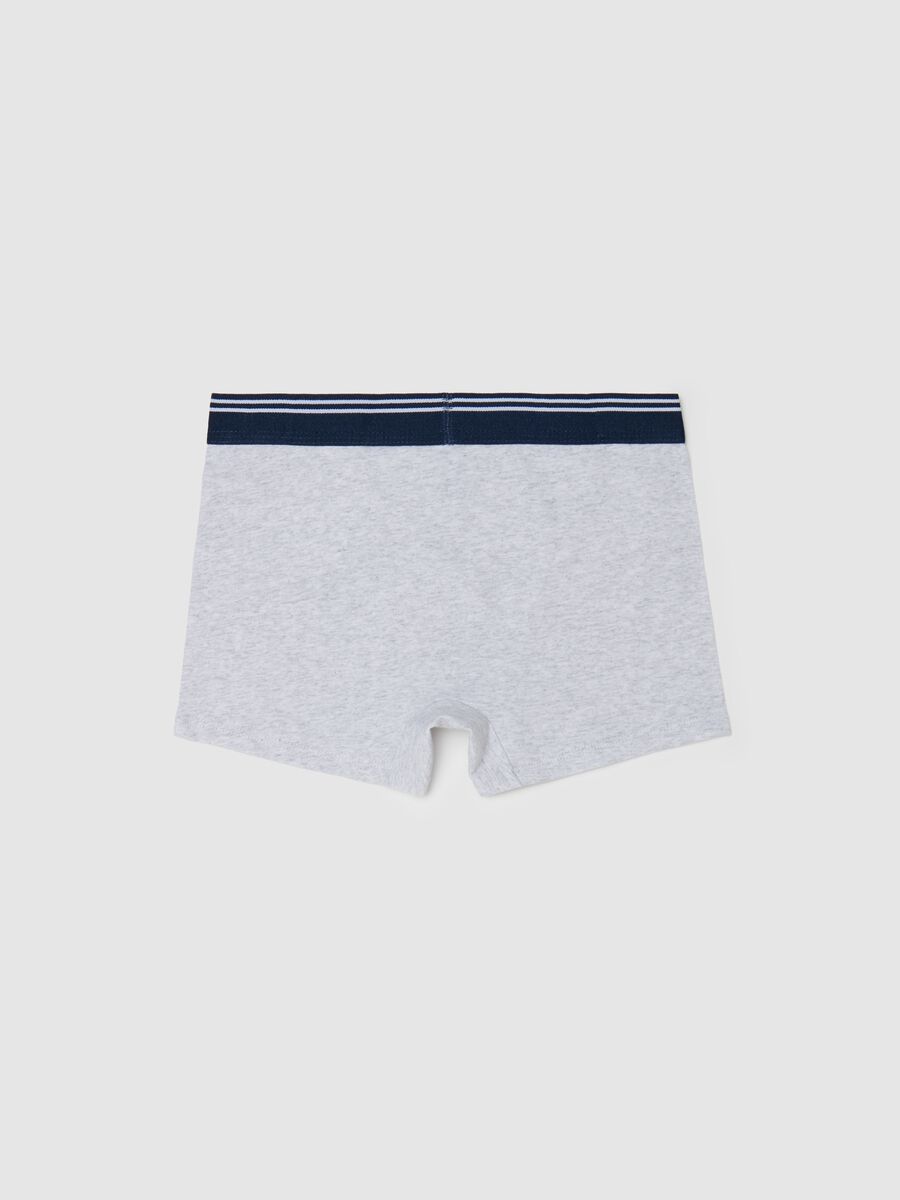 Boxer in cotone stretch con dettaglio a righe _1