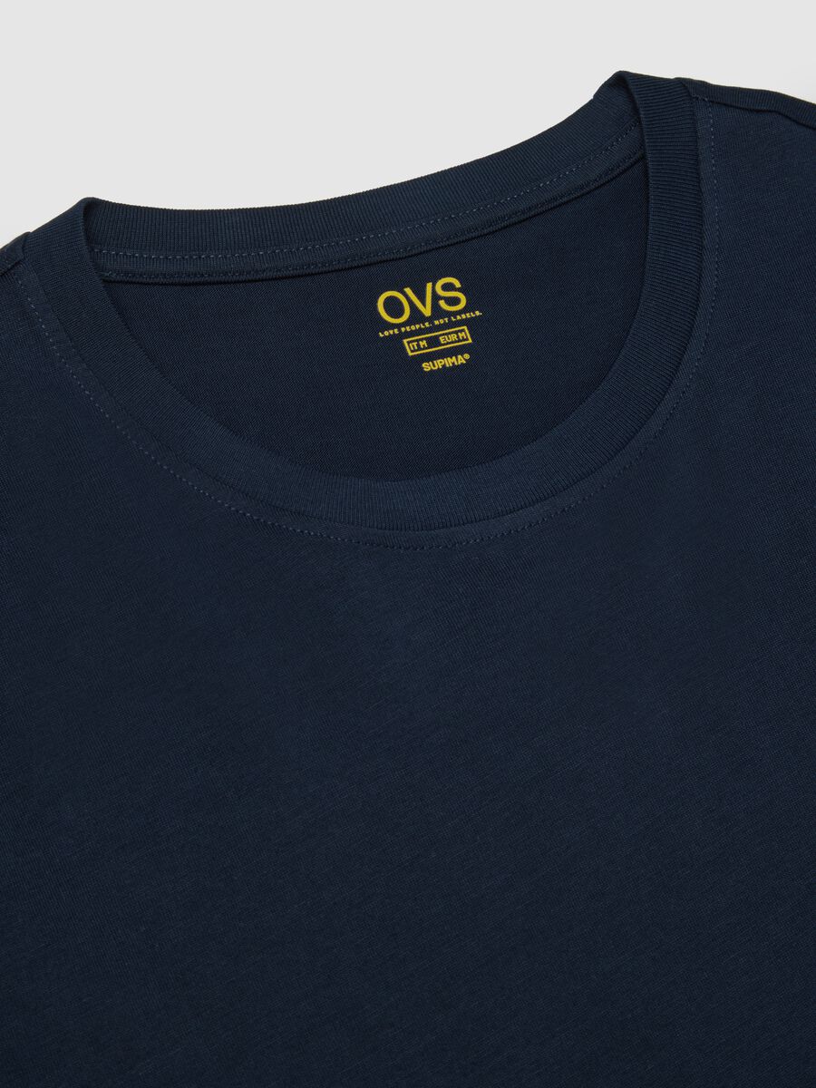 Regular Fit Round Neck Blue Pure Cotton T-shirt_1