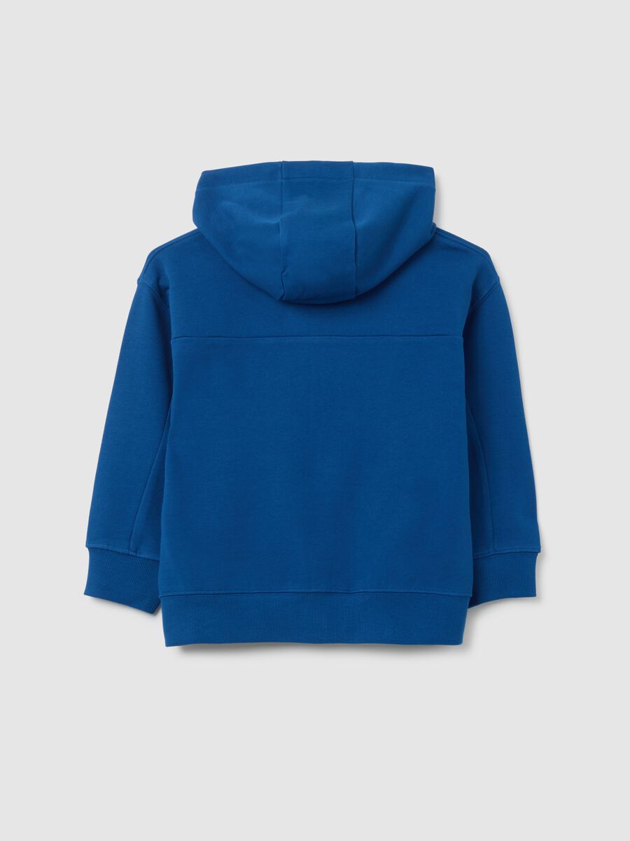Felpa blu con cappuccio e zip integrale_1