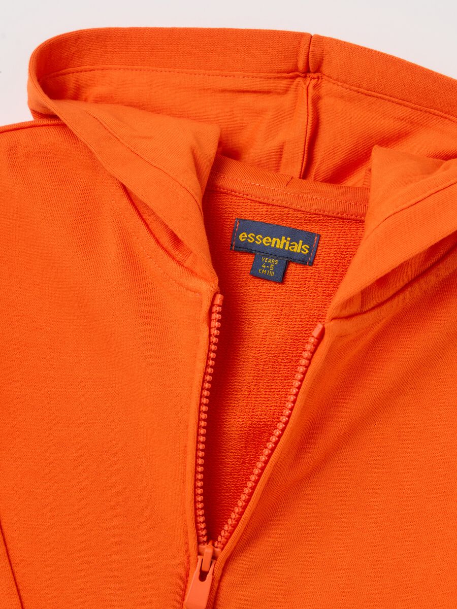 Full-zip sweatshirt in French terry with hood_2