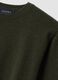 Green pure wool crew-neck jumper, regular fit_1