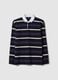 Long sleeve pure cotton polo with multicolour stripes, regular fit_4