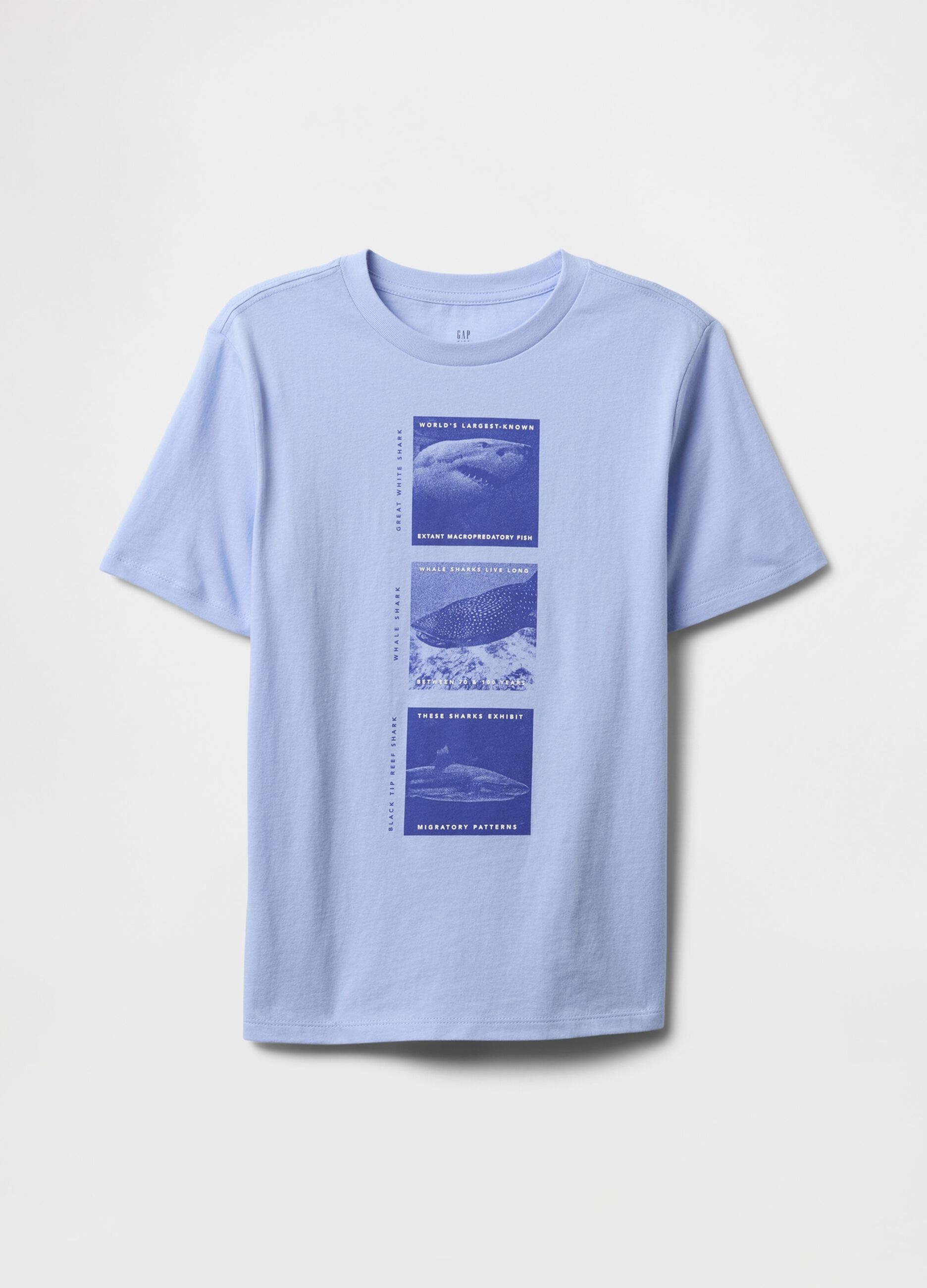 Blue T-shirt with shark print