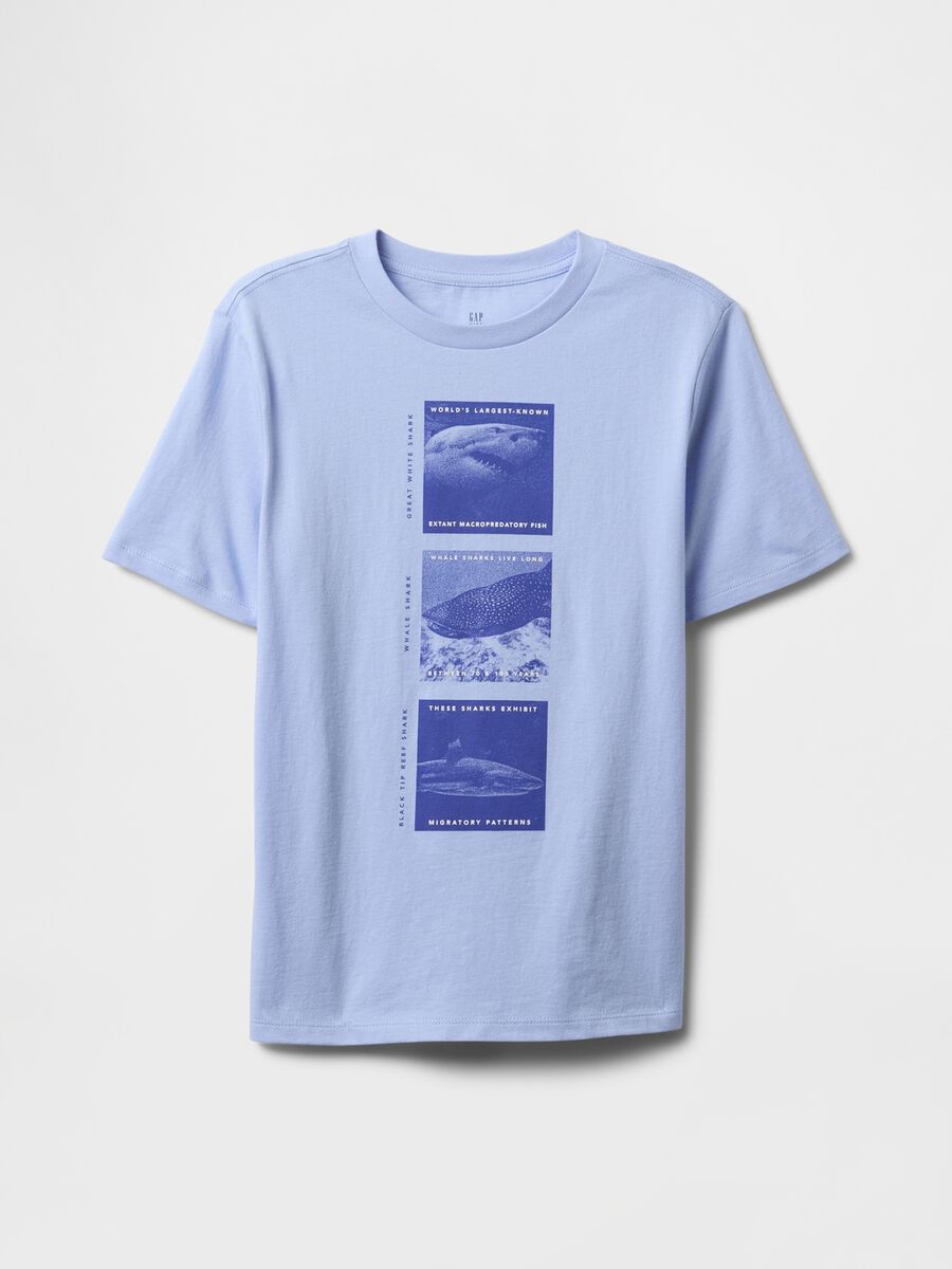 Blue T-shirt with shark print_0