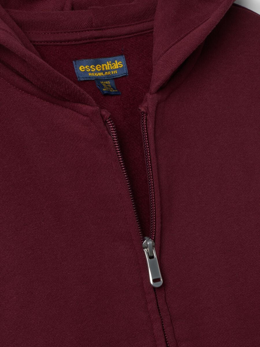 Purple hoodie in pure organic cotton, regular fit_1