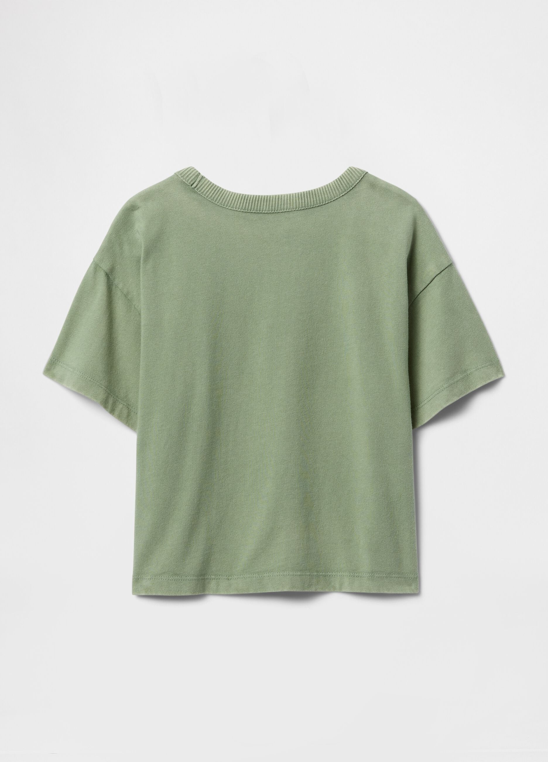Green Cropped T-shirt with Embroidery