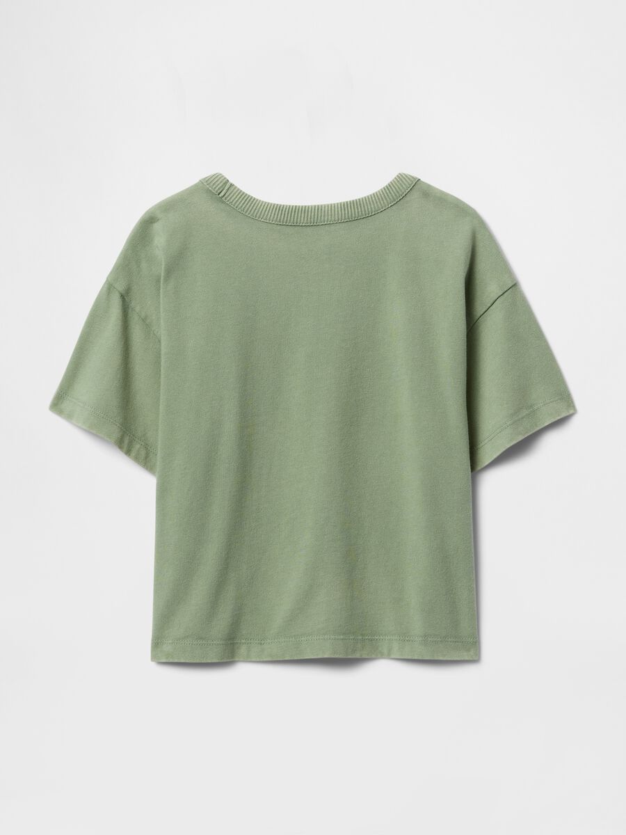 Green Cropped T-shirt with Embroidery_2