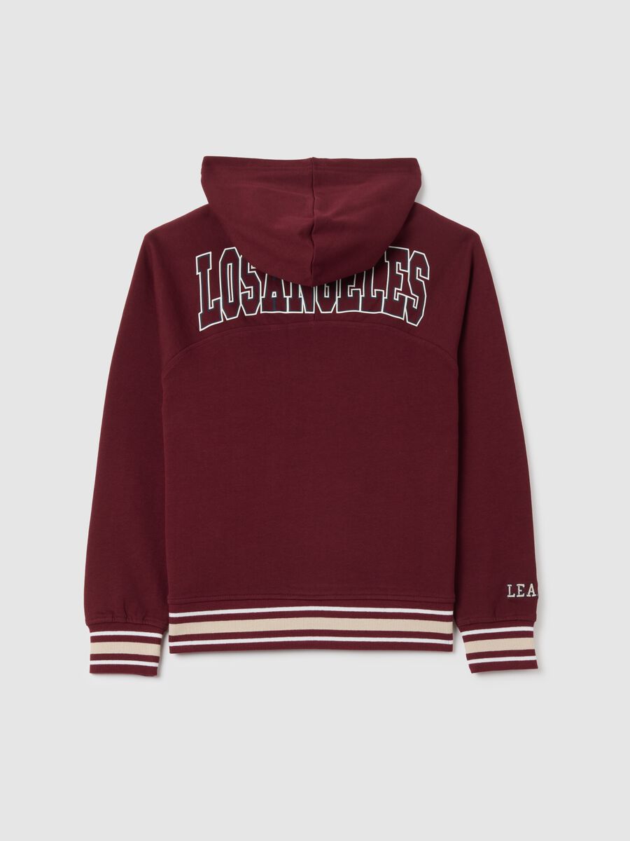 Felpa da ragazzo in puro cotone multicolor regular fit_1