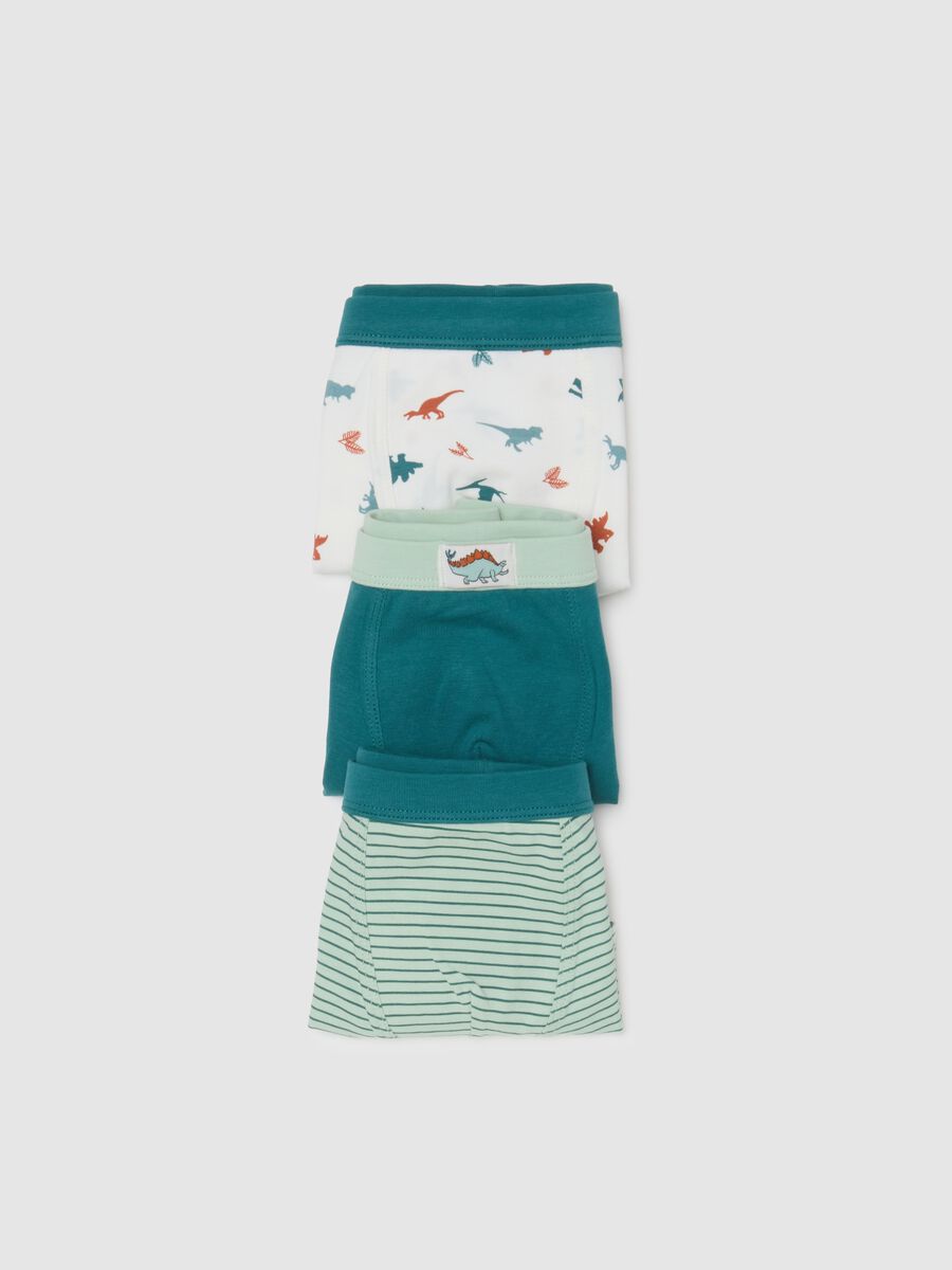 Pack of three multicoloured cotton regular fit boys' briefs_3
