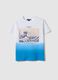 T-shirt in puro cotone multicolor regular fit con onda Hokusai_0