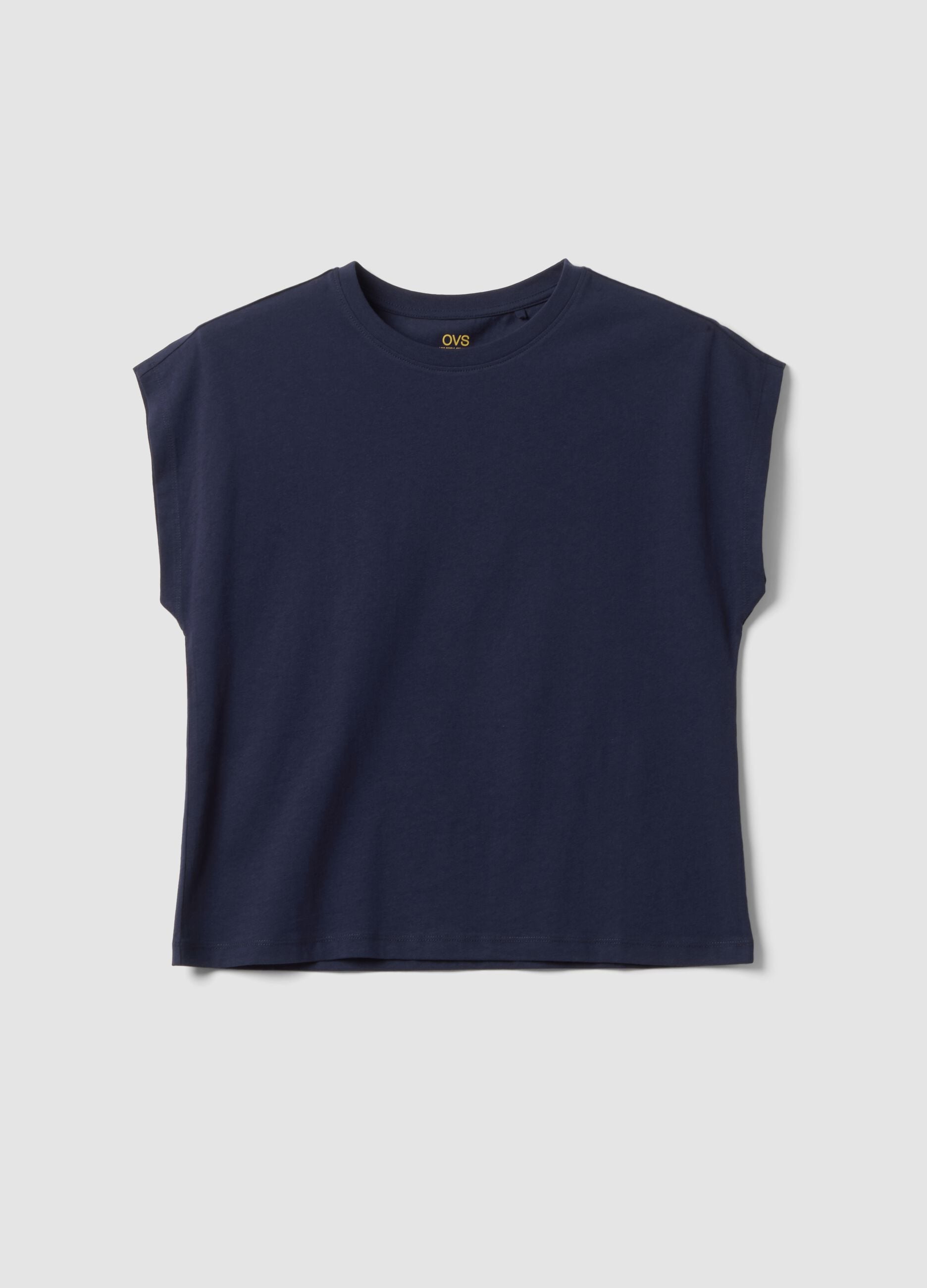 Blue pure cotton short-sleeve regular fit T-shirt