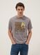 Grey pure cotton T-shirt with front print, regular fit_0