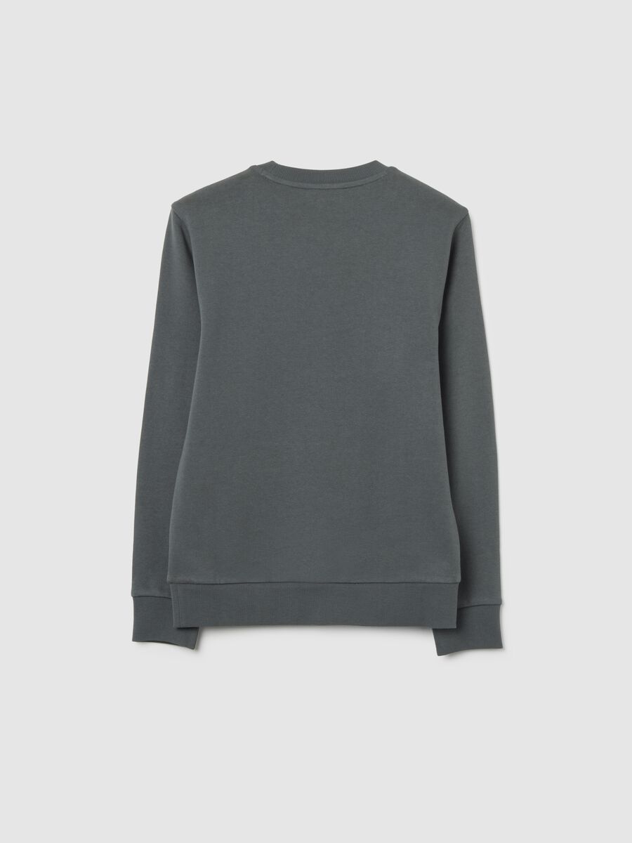 Felpa da ragazzo in puro cotone grigia regular fit_1