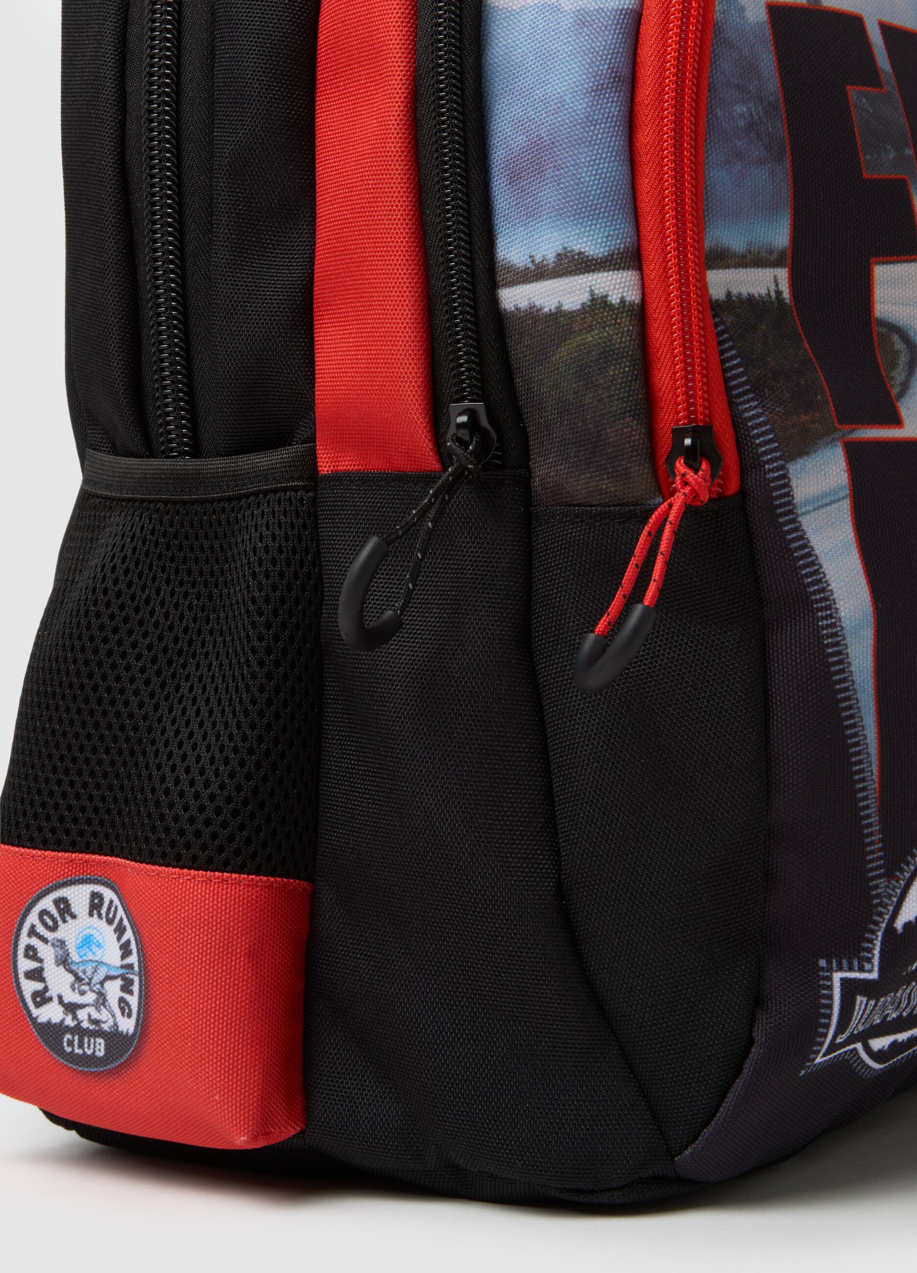 Multicolour Kids' Backpack with Raptor Print