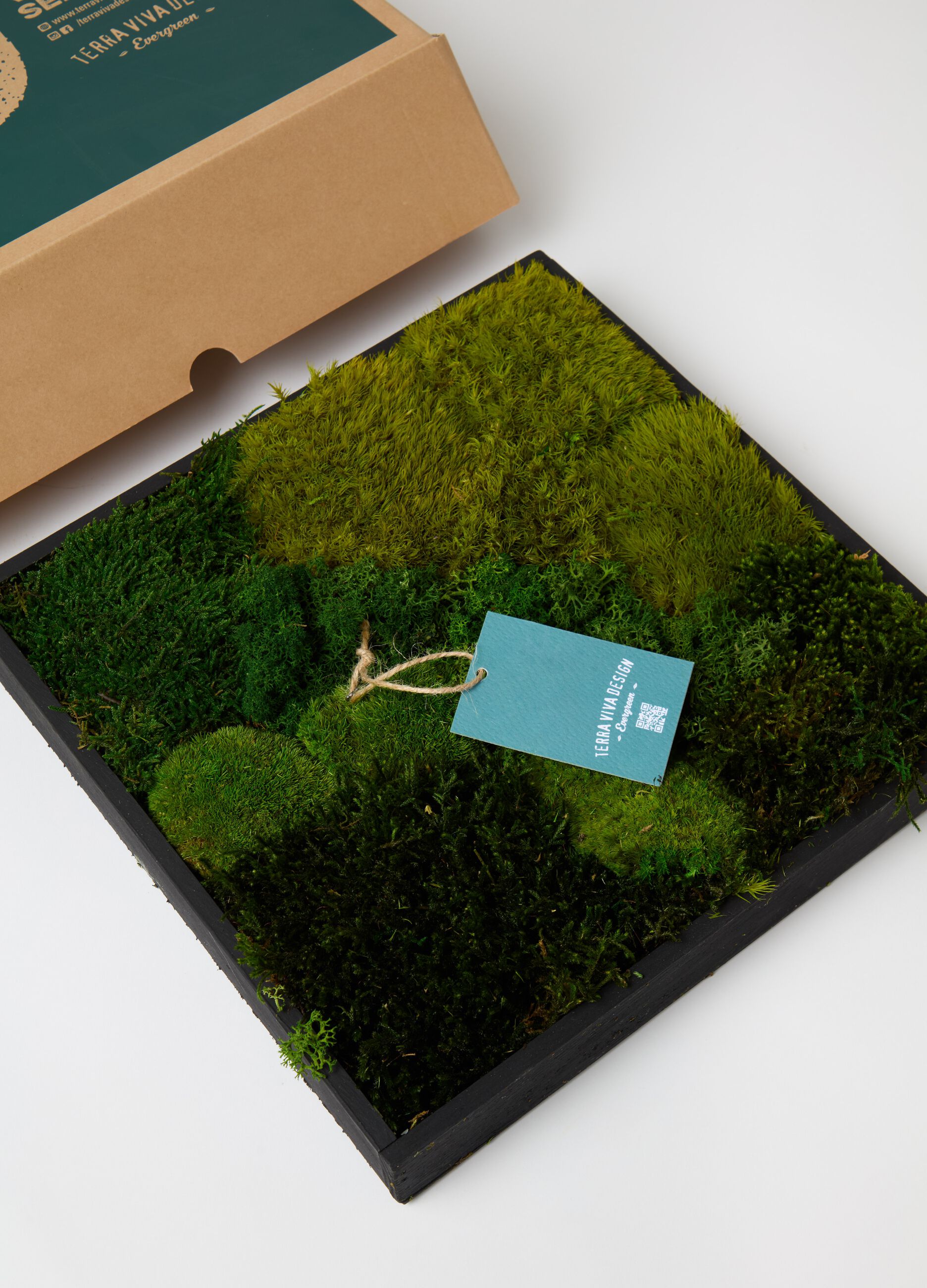 Loading img product 2