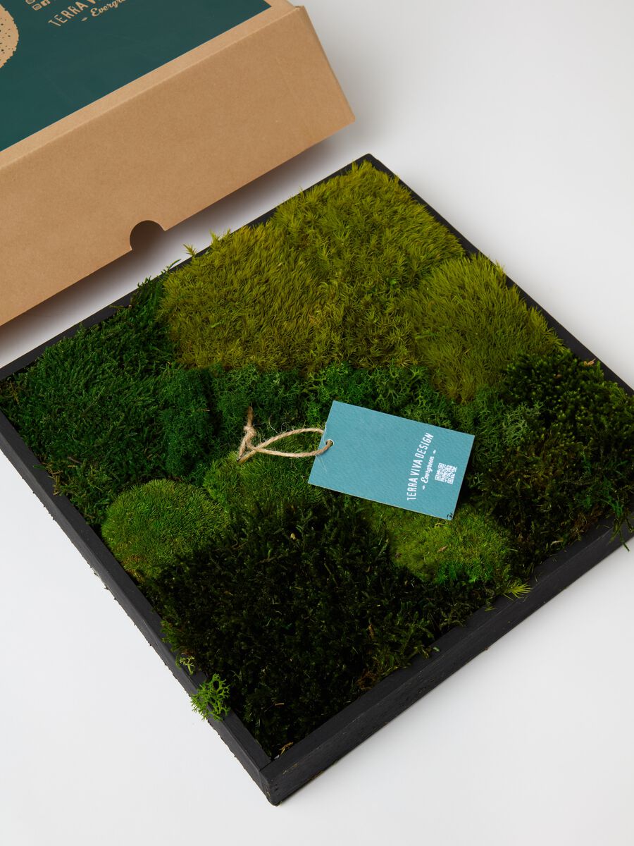 Frame 30 Evergreen Vertical Garden_2