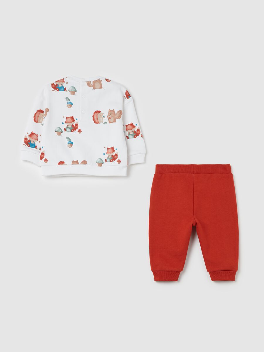 Organic cotton jogging set with animals print_1