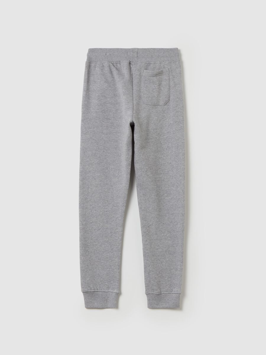 Joggers with drawstring and "Whistler" print_4