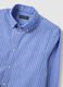 Multicolour pure cotton regular fit shirt_5