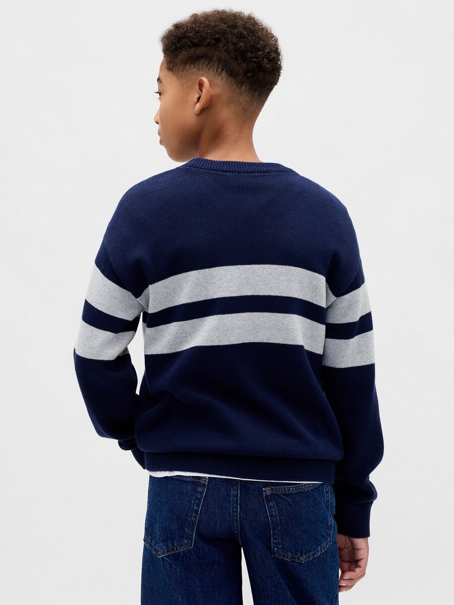 Blue Sweater with Stripes in Cotton_2