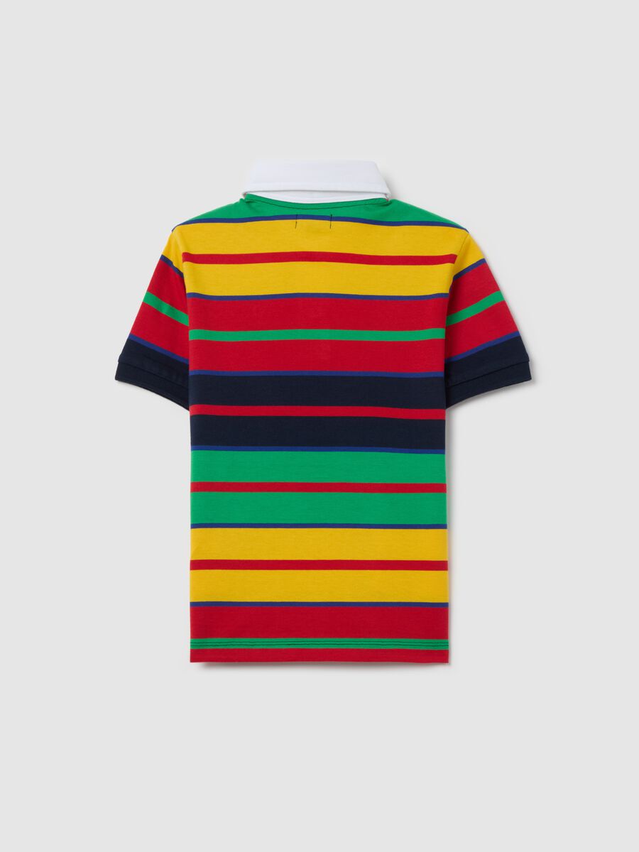 Cotton polo shirt with multicoloured stripes and logo embroidery_4