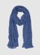 Blue Scarf_0