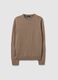 Regular Fit Beige Jumper_4