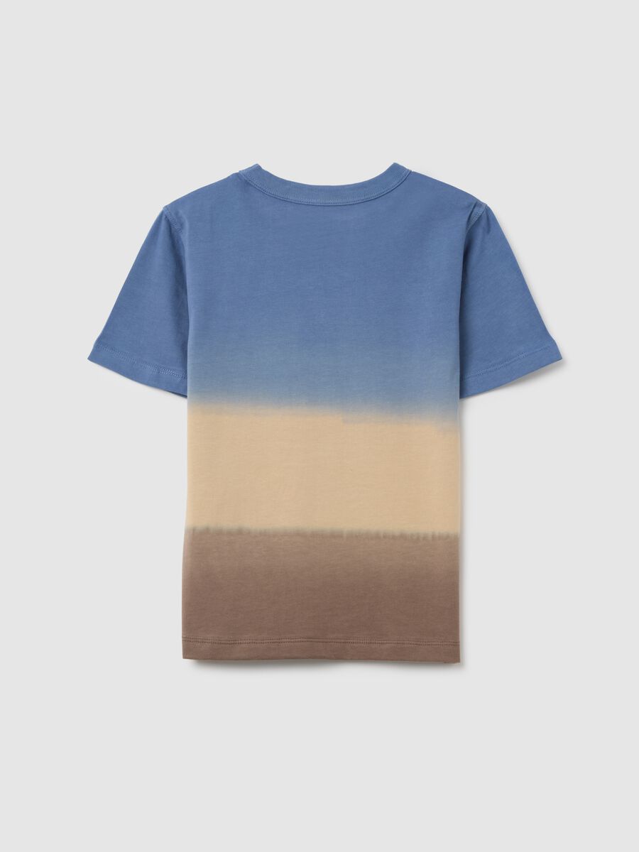 Children's multicolour pure cotton regular fit T-shirt_1