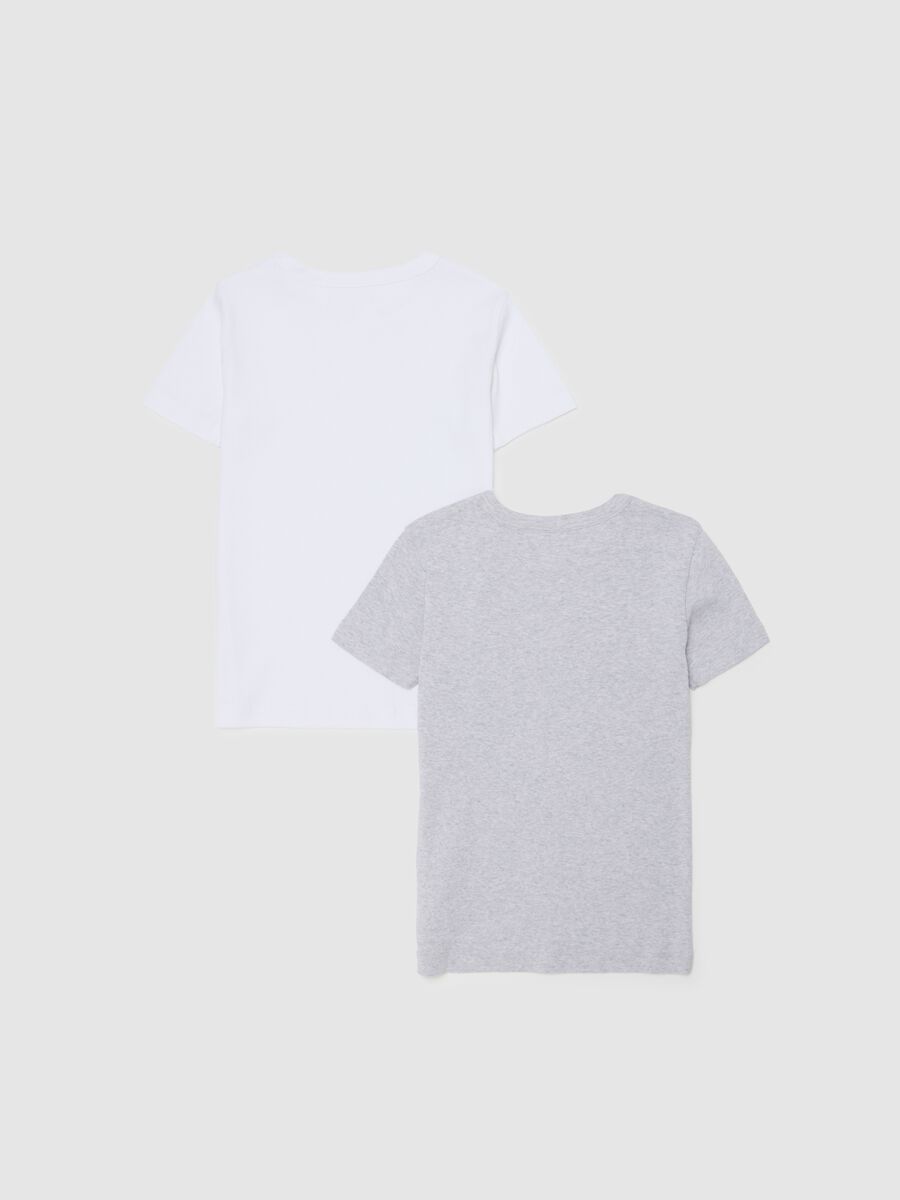 Children's Multicolour Pure Cotton Regular Fit Twin Pack T-shirts_1