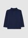 Blue turtleneck cotton jumper for boys with regular fit_0