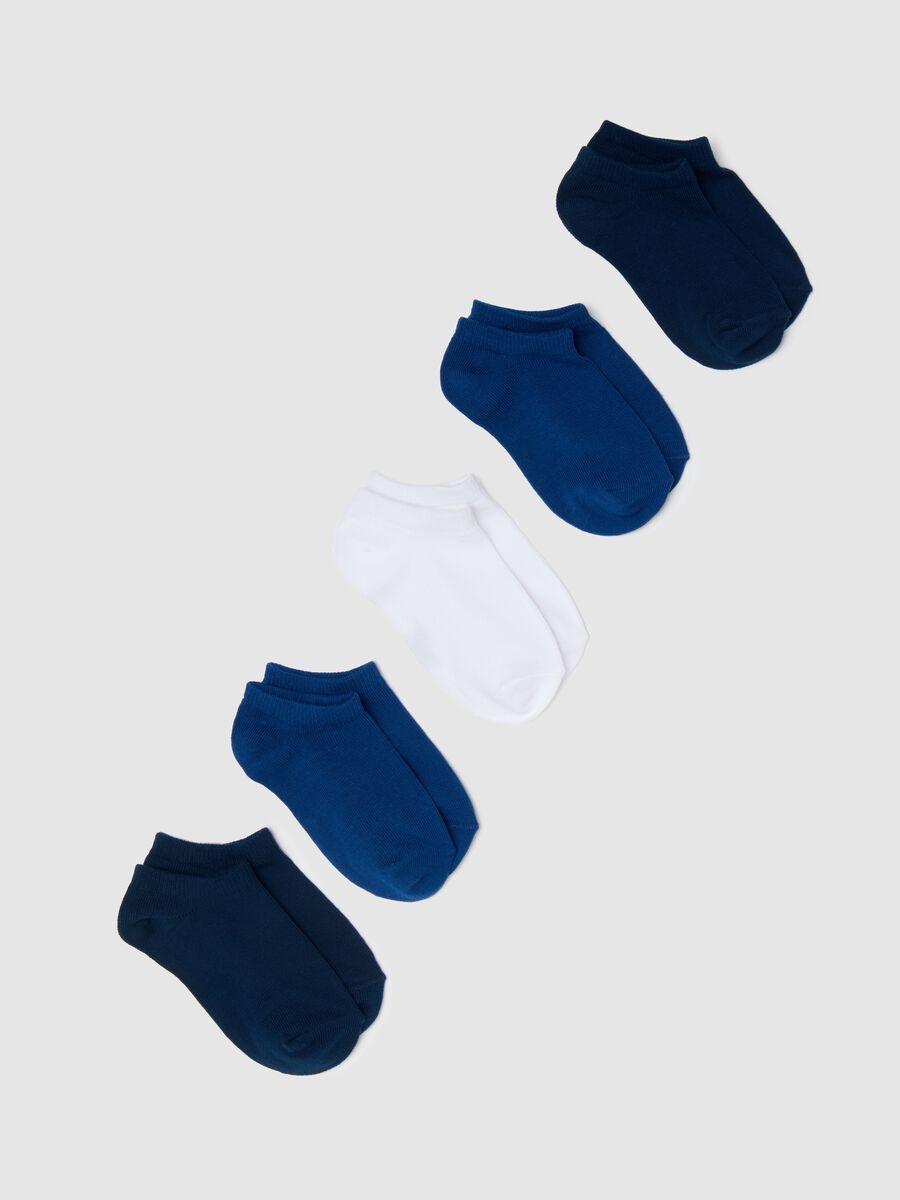 Five-pair pack white and blue stretch shoe liners_0