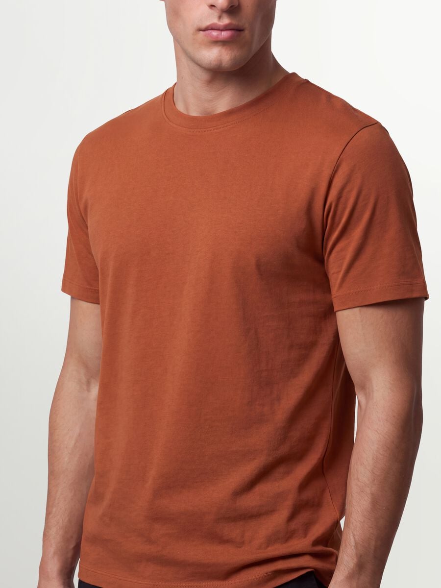 T-shirt marrone in puro cotone organico jersey regular fit_2