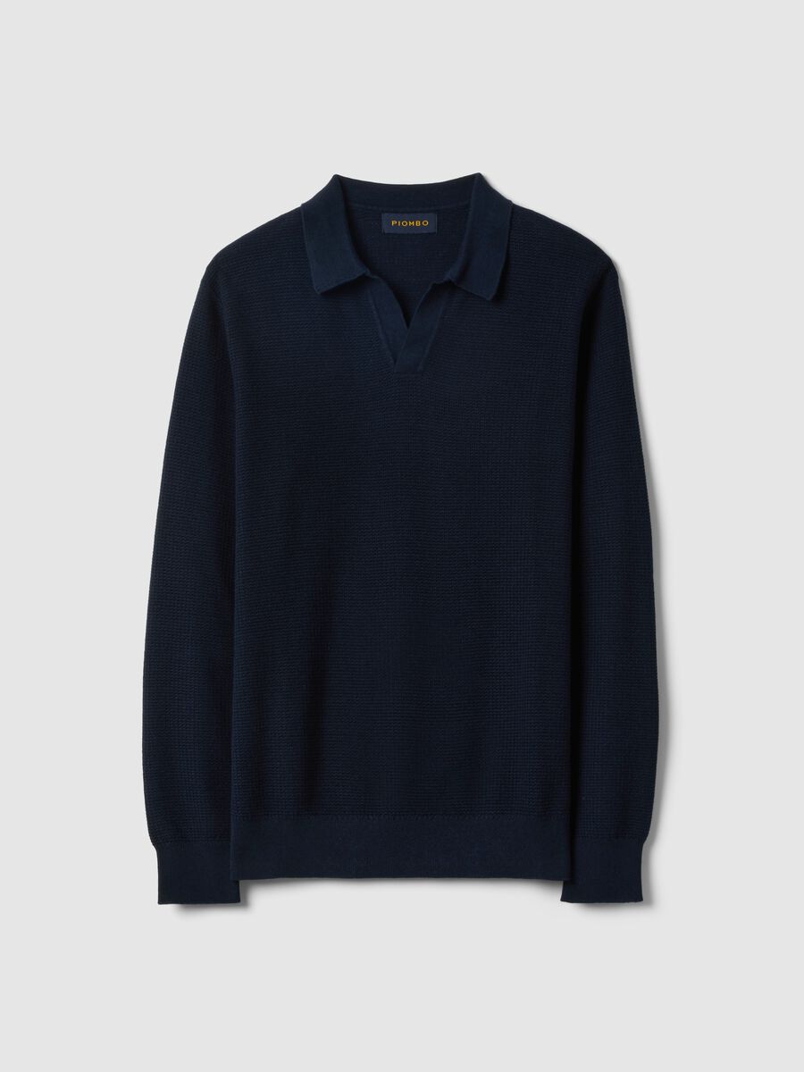 Regular fit blue pure cotton pullover with polo collar_4