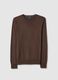 Brown crew neck cotton blend regular fit sweater_4