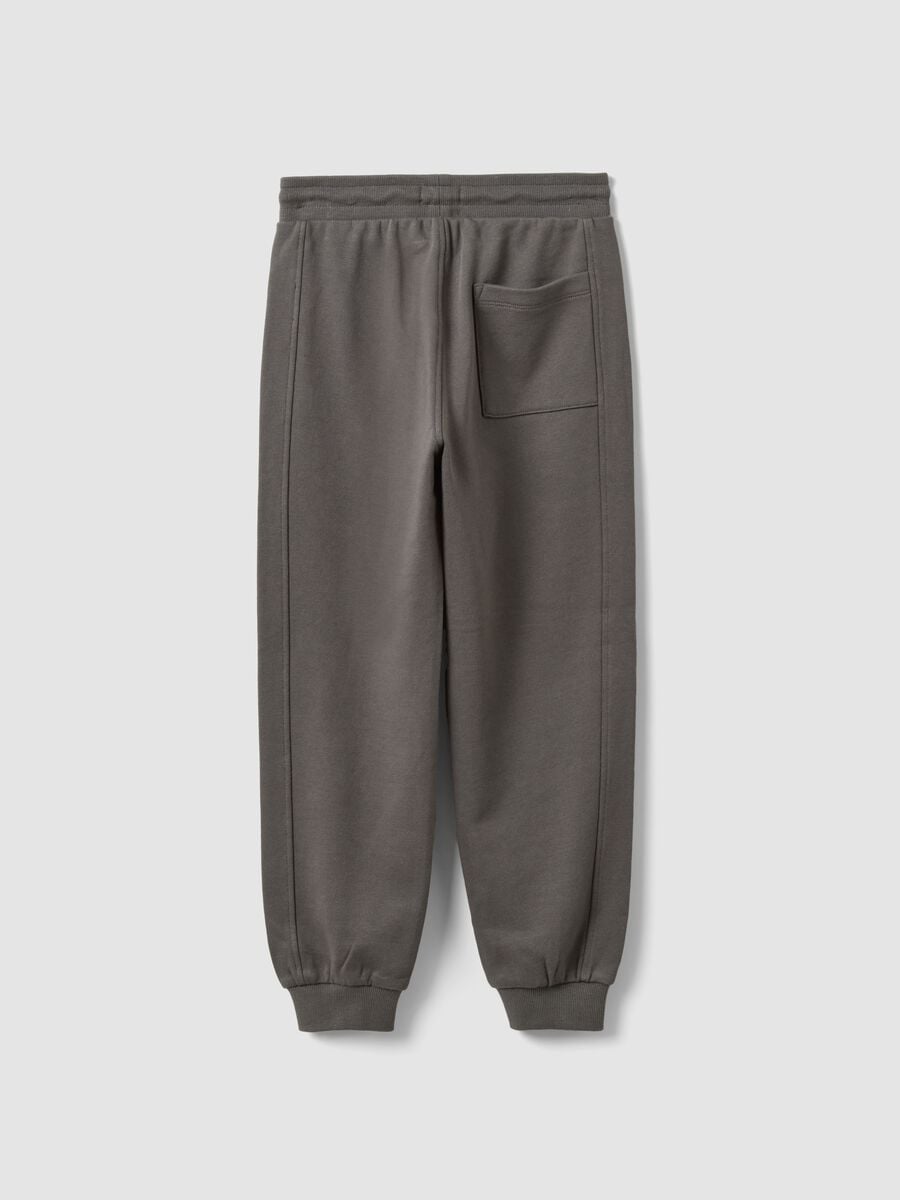 Pantaloni jogger grigi in puro cotone organico comfort fit per bambino_1