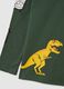 Children's pure cotton green regular fit T-shirt with print_3