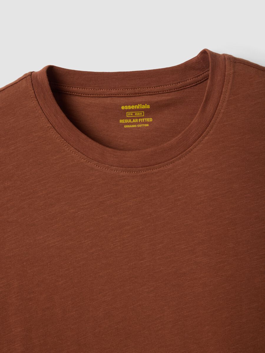 Brown short-sleeve pure cotton regular fit T-shirt_5