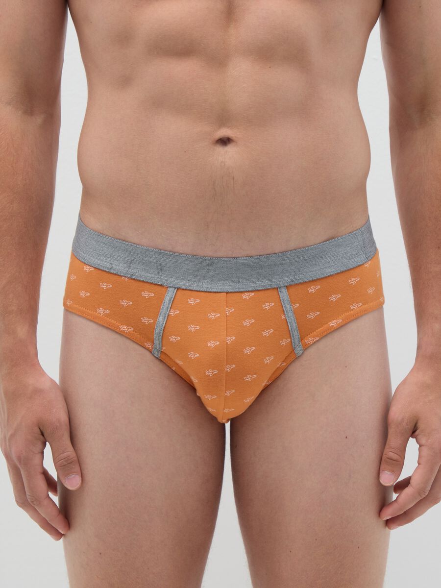 Regular fit multicolour cotton brief set_1